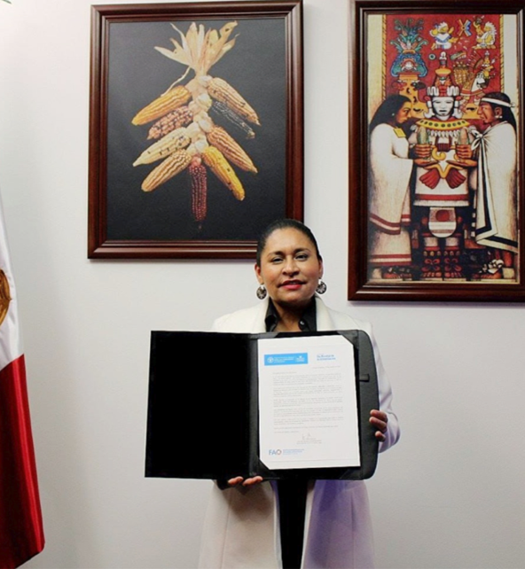 orgullo tlaxcala2